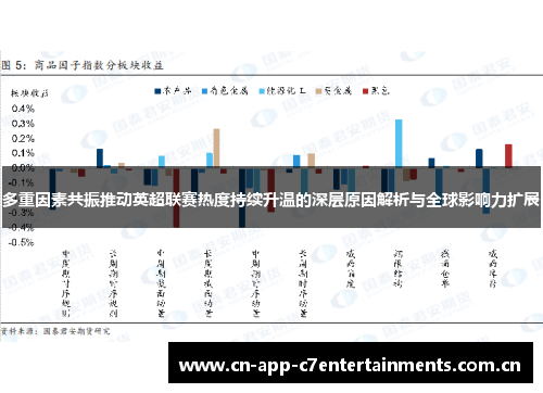多重因素共振推动英超联赛热度持续升温的深层原因解析与全球影响力扩展