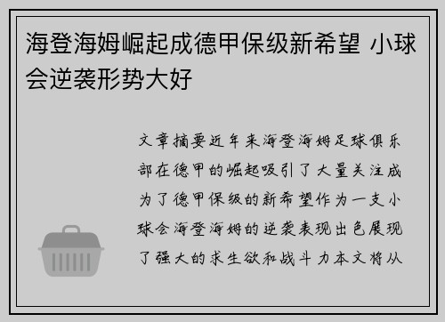 海登海姆崛起成德甲保级新希望 小球会逆袭形势大好
